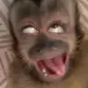 DannArmas - @dannie2790 - TikTok