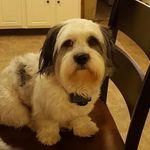 Dan Armbruster - @dan.armbruster - Instagram