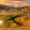 Dan Armitage - @danbythesea - TikTok