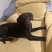 Daniel Armitage - Facebook