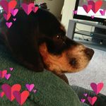 Dan Arndt - @roysgrandman - Instagram