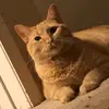 Dan Asher245 - @danasher0 - TikTok