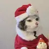 danashton87 - @danashton87 - TikTok