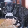 danos - @danasseline - TikTok
