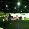 Dan Astle-Carter - @dan.astlecarter - TikTok