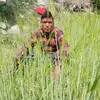danathapa - @danathapa9864745209 - TikTok