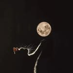 Dan Atwood - @atwood6240 - Instagram