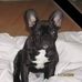 Dan Aucoin - Facebook