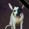 danni - @danniaucoin - TikTok