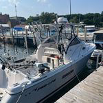 Dan Audette - @audettedan - Instagram