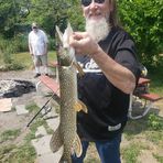Dan August - Facebook
