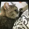 Dana Um - @dana.um8 - TikTok