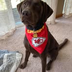 Dana Aumiller - Facebook
