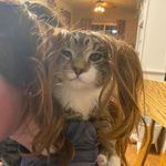 Dan Aune - @dan.aune.1 - Instagram