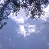 danauvil718 - @danauvil718 - TikTok