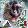 Dana Vantu - @dana.vantu - TikTok