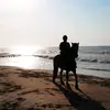 danavantilburg - @danavantilburg - TikTok