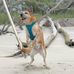 Dan Avery - Facebook