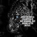 Dan Awe - Facebook