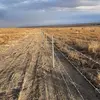 adan_zam - @adan_zam - TikTok