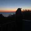 daniababic - @daniababic - TikTok