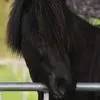 Dane Bachmann - @dane.bachmann - TikTok