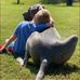 Daniel Bachmann - Facebook