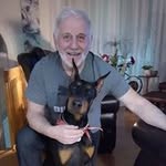 Daniel Baillargeon - @baillargeondaniel - Instagram
