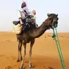 Dan Baird Survival - @danbairdsurvival - TikTok