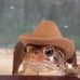 Daniel Baldridge - Facebook