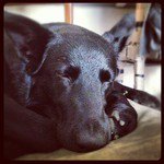 Daniel - @daniel.barringer44 - Instagram