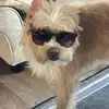daniel.barrington - @daniel.barrington0 - TikTok