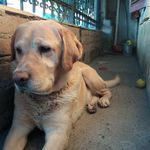 Dan Barrios - @dan.barrios.735 - Instagram