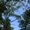 danabarsky08 - @ii.camper._.vibez - TikTok