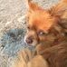 Dan Barto - Facebook