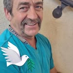 Dan Bascom - @dandogbascomgmail.com_ - Instagram