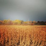 Dan Bastien - @dan.bastien.71 - Instagram