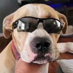 Dan Batchelor - @danba76 - Instagram