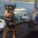 Dan Boatman - Facebook