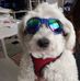 Daniel Bauder - Facebook