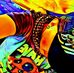 Daniel Bauder - Facebook
