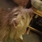 Dan Baughman - @dan.baughman.752 - Instagram
