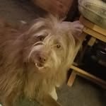 dan.baughman.752 - @dan.baughman.7529 - Instagram