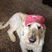Dan Baughman - Facebook