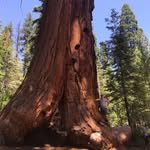 Dan Bauman - @pharmerone - Instagram