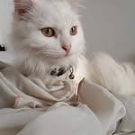 Dan Bautista - @danbautista22 - Instagram
