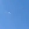 danielebavaro - @danielebavaro.1 - TikTok