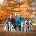 Dan Baxa - Facebook