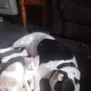 danabaxley933 - @danabaxley933 - TikTok