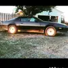Dan Bayes - @dan.bayes - TikTok